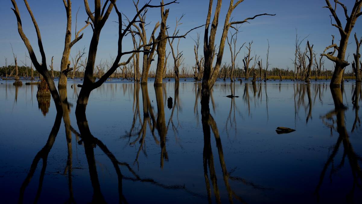 Eastern states make bold play against Murray Darling Basin Authority
