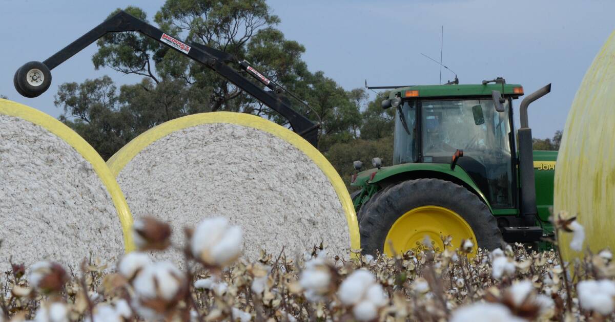 Chemical giant Bayer pulled out of its BayerCropScience cotton research and development ahead of its $88 billion merger bid for US seed and chemical giant Monsanto.