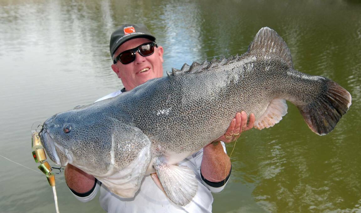 Cod fishing guru Rod Mackenzie with a whopper that did not look too stressed when it engulfed his surface lure.