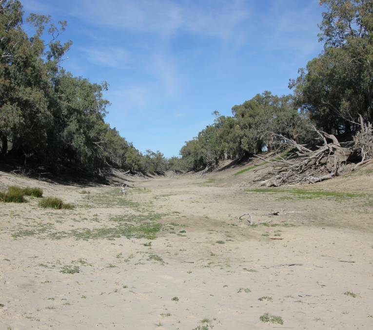 A dry Lower Darling pictured in 2016. Photo Nerida Healy.