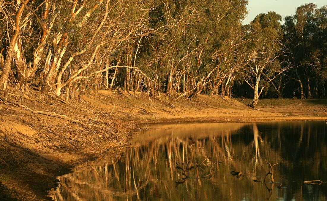 Another round of Murray Darling meetings will set the water recovery agenda for irrigators. Picture by Pat Scala.