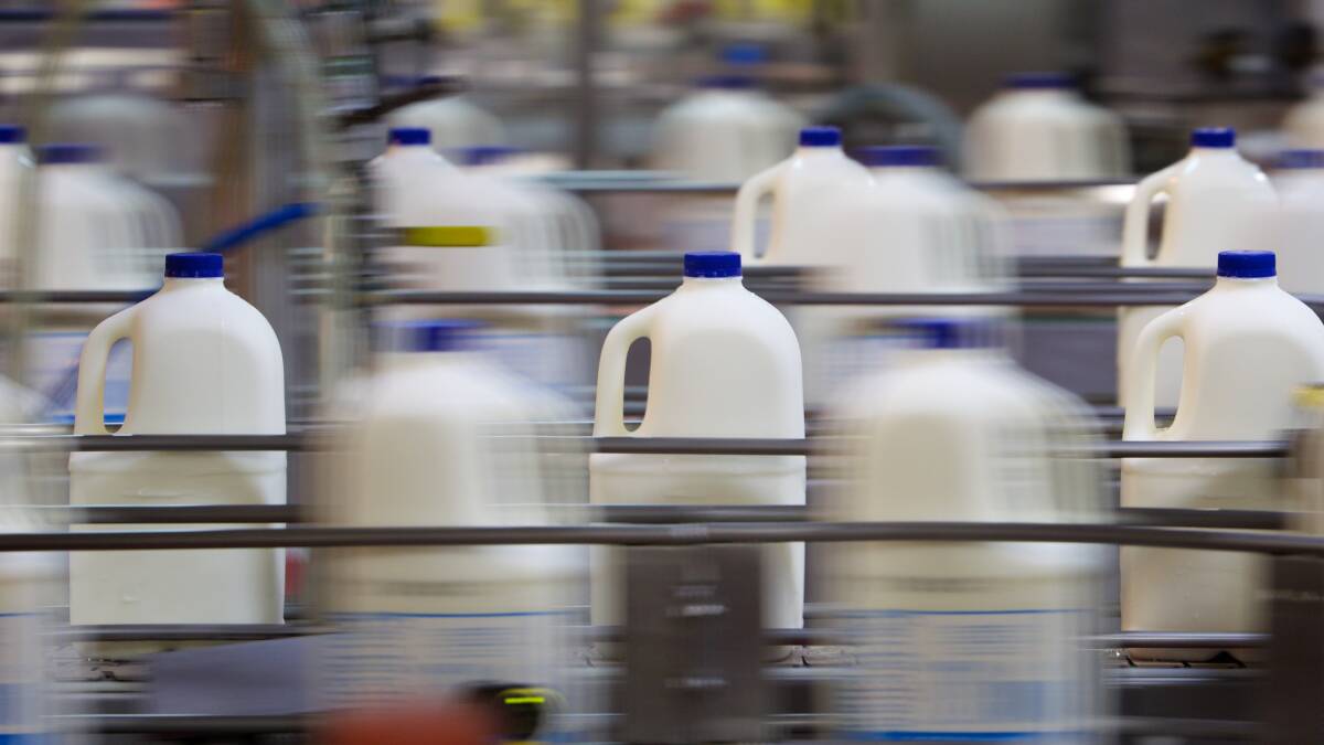 Aussie milk breakthrough may be better than pasteurisation
