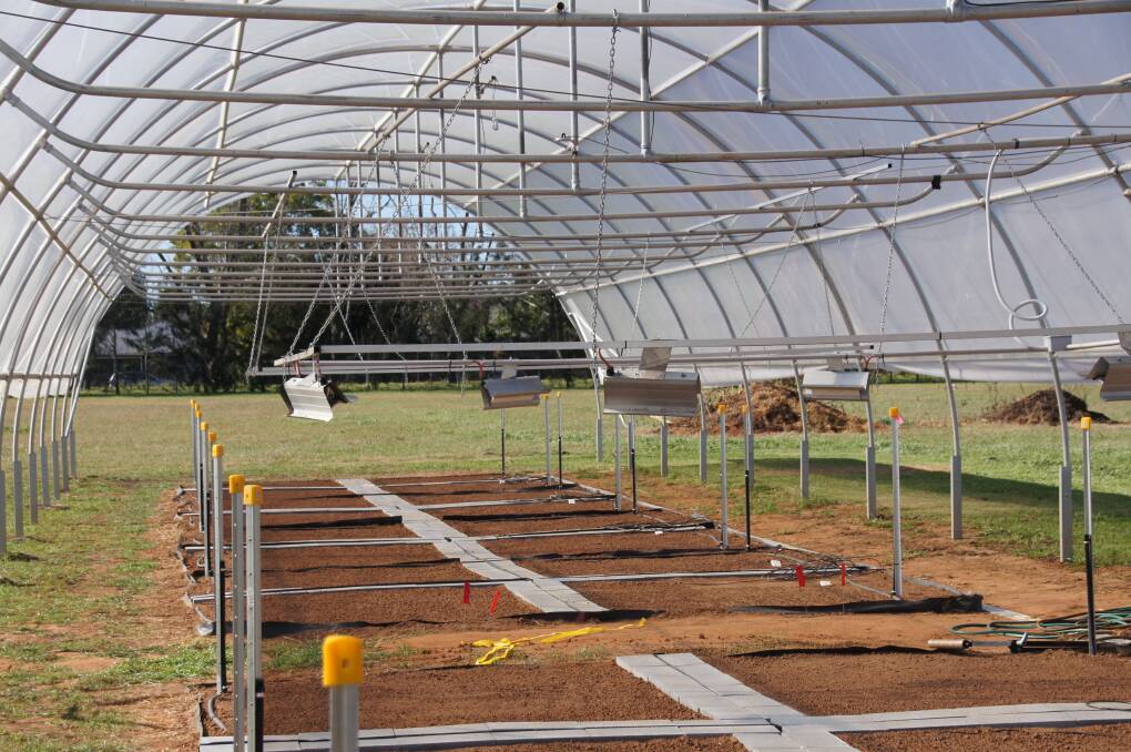 Heat lamps at the Hawkesbury Institute are used to study how plants respond to heat stress.
