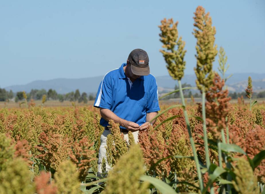 Crop scientists will be recognised for their work by the Australian Academy of Sciences.