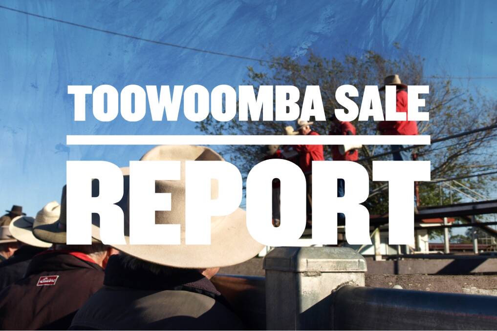 Trade steers to 340c in Toowoomba