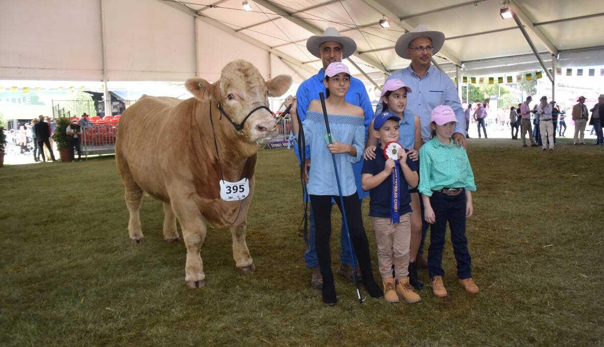 Caloona Park Charolais, South Tamworth, and the Franco family with grand champion bull and best exhibit of the breed - Little Hero.