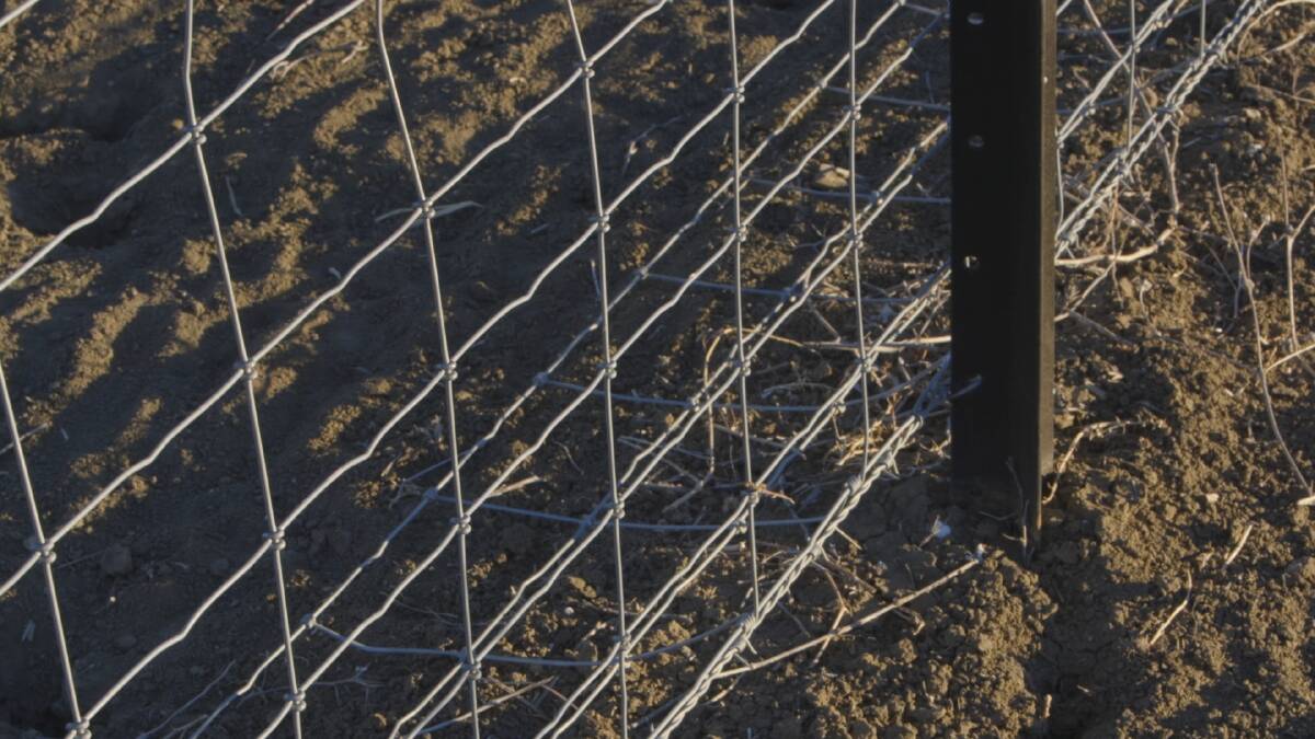 Red hot tips on profitable exclusion fencing