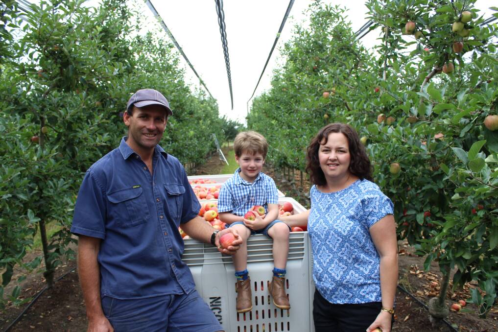 Daniel Nicoletti with his son Sean and wife Toni in their orchard. 