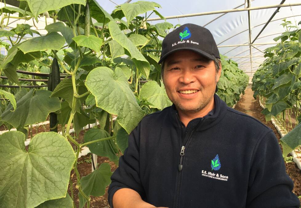 Recognised for his efforts in the 2016 Syngenta Growth Awards, Mr Tommy Le has developed a niche tribal cucumber variety that is helping his local Vietnamese farming community thrive.

