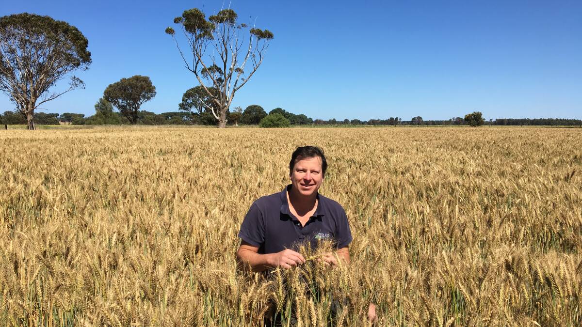 Agronomist Luke Marquis has been recognised as part of the 2017 Syngenta Growth Awards for his dedication to effective research for more productive farming. 
