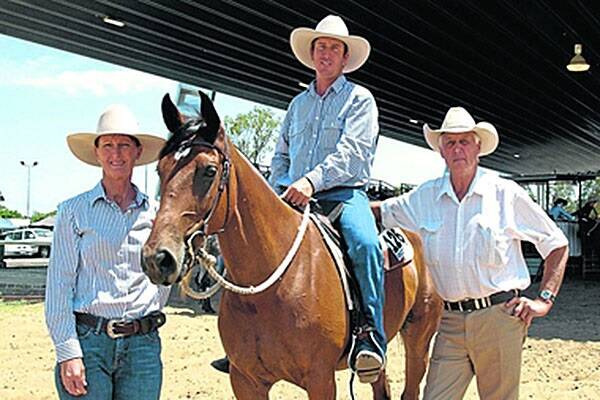 Mares to $30,500 at Dalby ASH sale