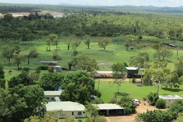 The stand-out North Queensland property Carse O'Gowrie is the market at $7 million including 2000 breeders and progeny, 50 bulls and basic plant.