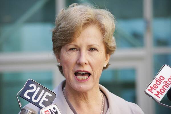 Greens leader Christine Milne says "this budget delivers a weaker, dumber, meaner Australia".