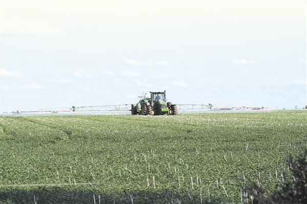 A recent WA Supreme Court case has been a timely reminder for WA growers to be aware of spray drift.