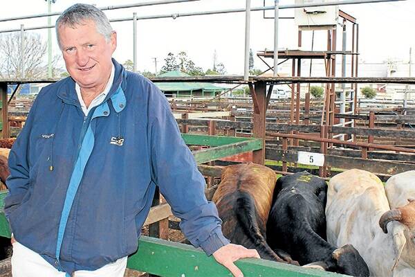 John McLoughlin, Leeora Downs, Arcadia Valley, Injune, sold 191 head of cattle at the Landmark Toowoomba sale.
