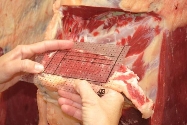 Red meat to China surges