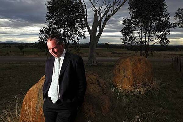 Barnaby Joyce: The Nationals' candidate for New England on a campaign stop near Tamworth. Photo: Nick Moir  