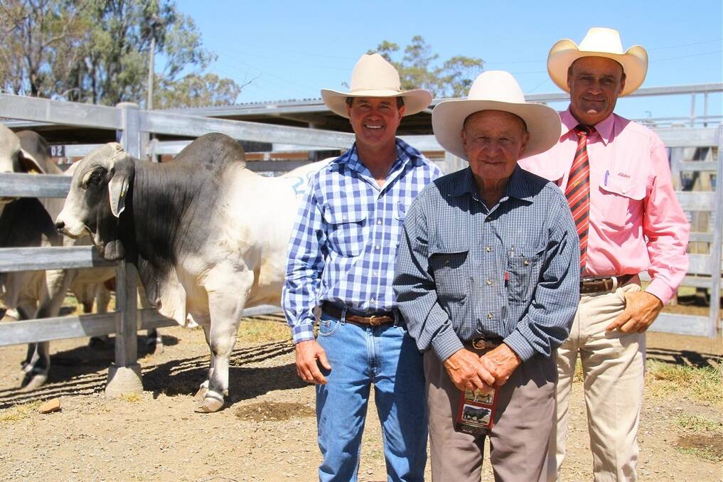Roger Nobbs (left), Garwin Brahmans, Bauhinia Downs, sold the equal top price bull of the sale, Garwin 1534, to John Dickens (centre), Lyngarry, Theodore, for $6000. Elders Auctioneer, Randall Spann, congratulated the pair.