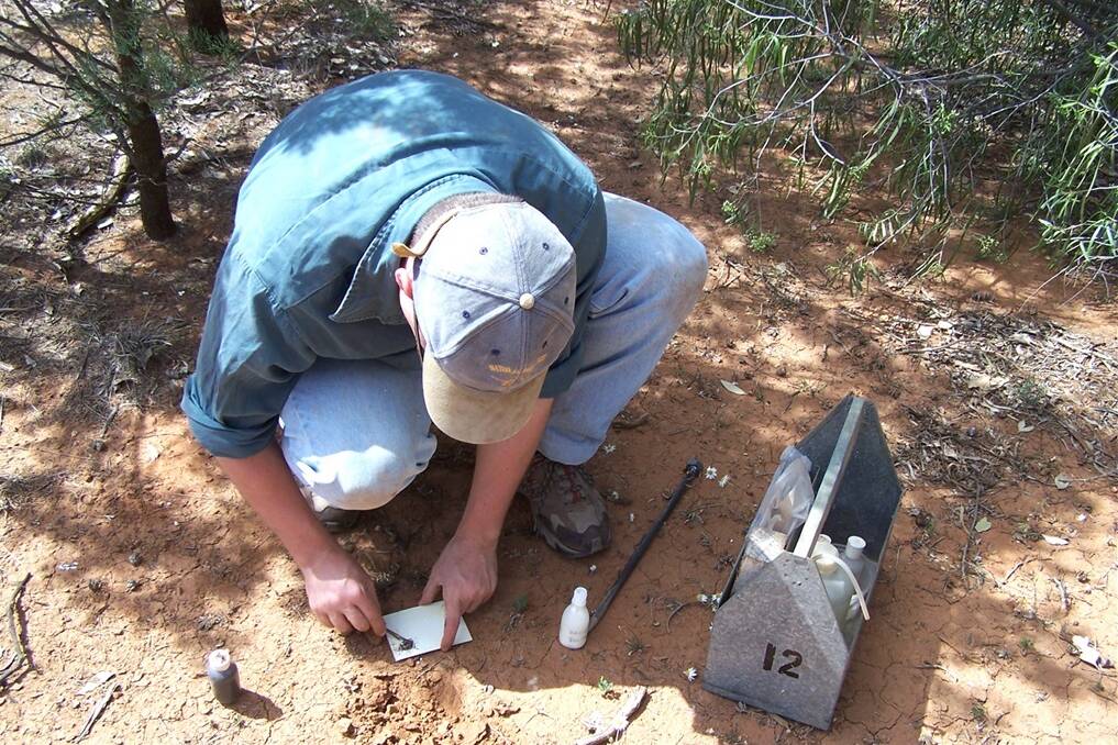 University of New England soil scientist Matthew Tighe at work in the rangelands.