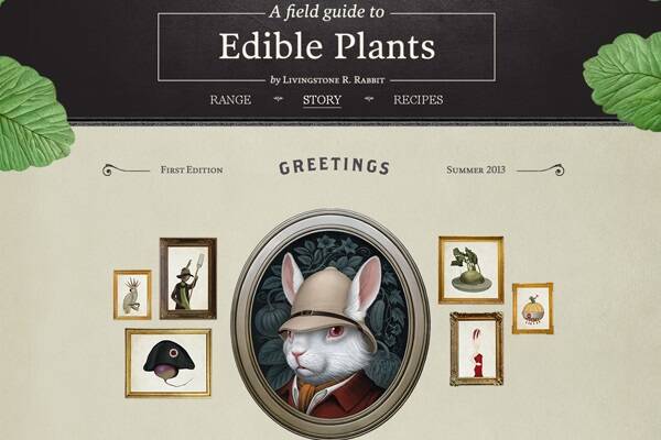 A screenshot from the new Hatters Vegetables website featuring its ambassador, Livingstone R. Rabbit.  
