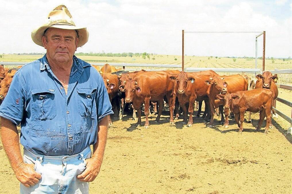 Taroom cattleman Tom Campbell. - Picture: SHAYDIE-JANE CAMPBELL.