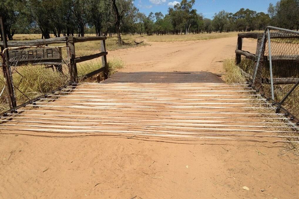 The electrified grid set up by Blackall graziers is defending openings in their exclusion fences.