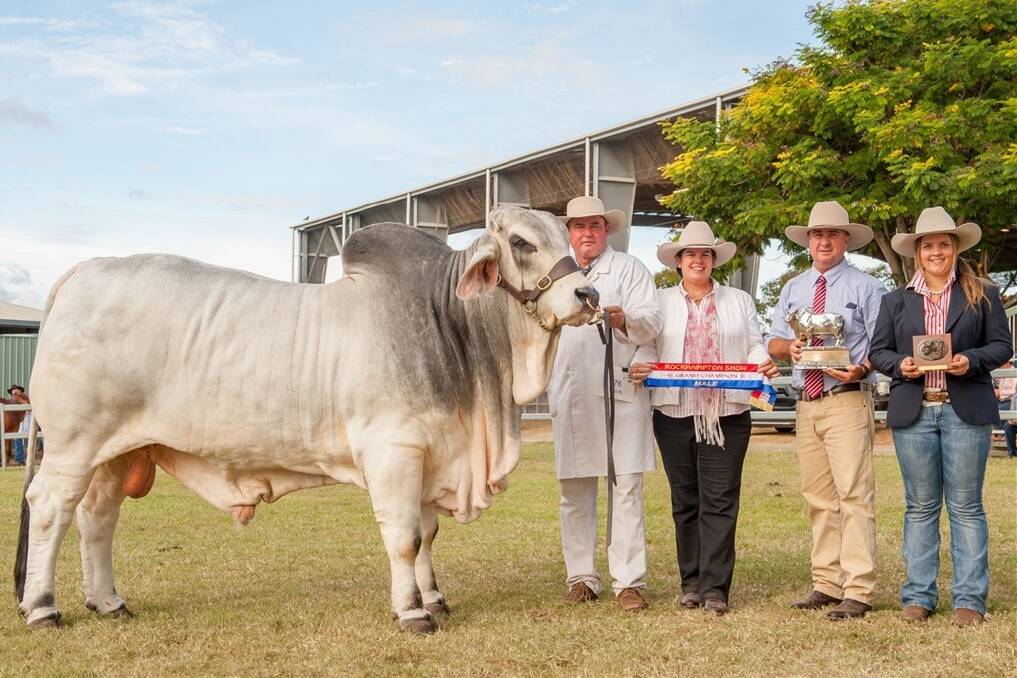 Grand Champion Brahman Bull Timbrel Mr L Derado Manso paraded by Terry Connor, presented by judge Anastasia Fanning, Corbmac Fanning, and associate judge Cassie Wilson.