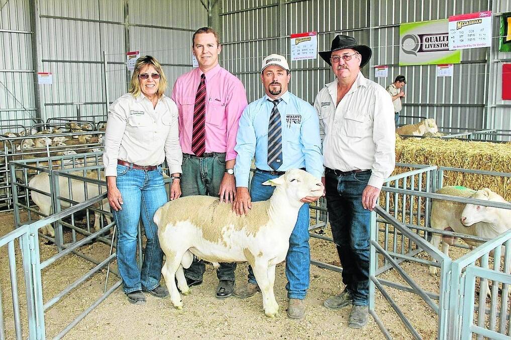 TOP BUY: Quality Livestock’s Nigel O’Brien, bought the top price ram at Melashdan White Dorper ram sale for $3000 on behalf of Ida Vale stud, Kojunup, WA. Pictured with the ram are stud principals Janice and Gary Fiegert and Elders Tumby Bay’s Derek Barr.