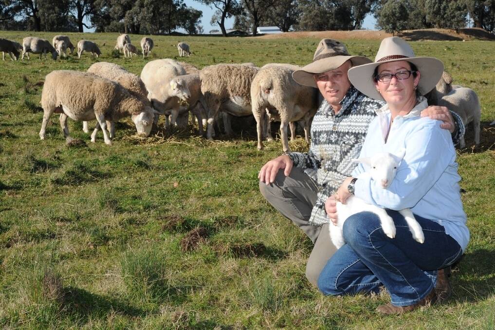 Paul and Jenny Wilcox, "Gwendoline" at Springdale, near Temora, like the ease of care of Dorpers.