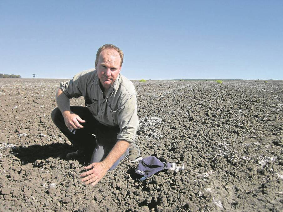 Dryland cropping in a variable rainfall pattern has put the focus of Moonie farmer Neville Boland squarely on soil health to convert every available drop of moisture into crop yield.