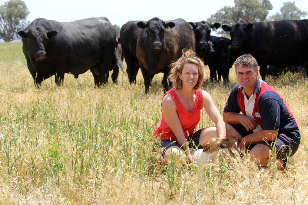 Tim and Jessica Scott, Table Top Angus, Albury, NSW, are hoping to perform well in the RASV heifer challenge again this year.