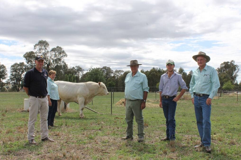 Beef Week hits southern NSW
