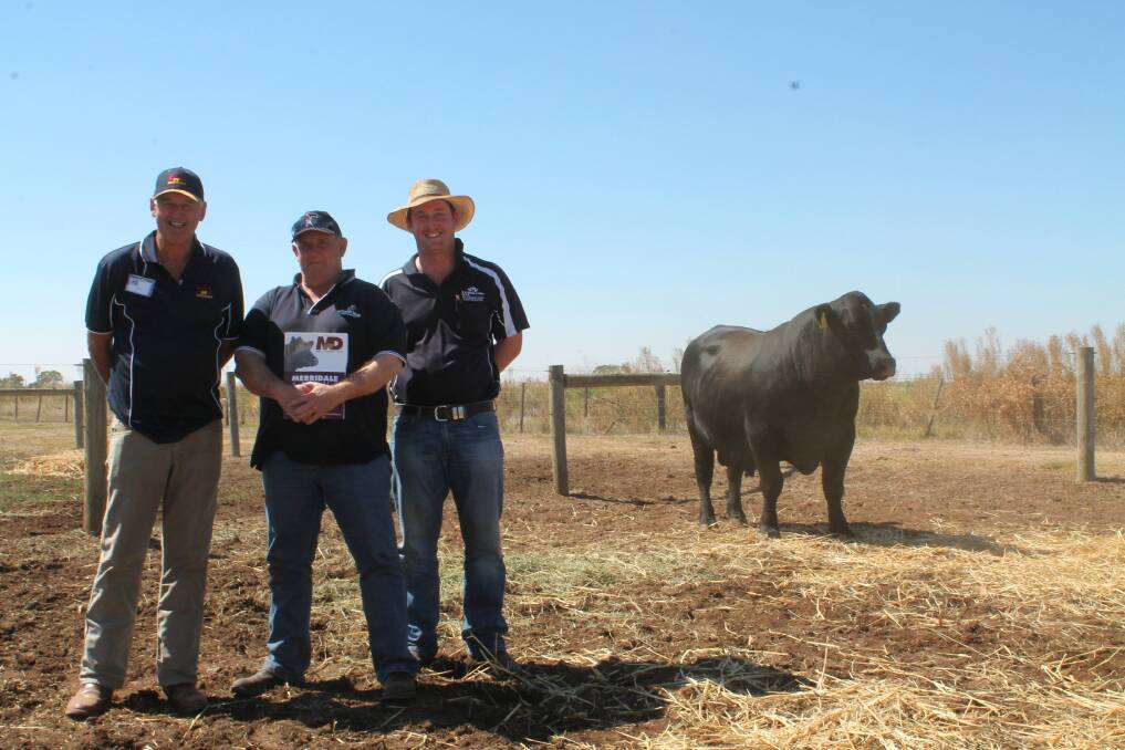Merridale principal Peter Collins (left) with Ian Wylie, Mt Mercer, and his agent Tom Madden, TB White & Sons Ballarat, who bought the equal top-priced bull Merridale J109 for $15,000.