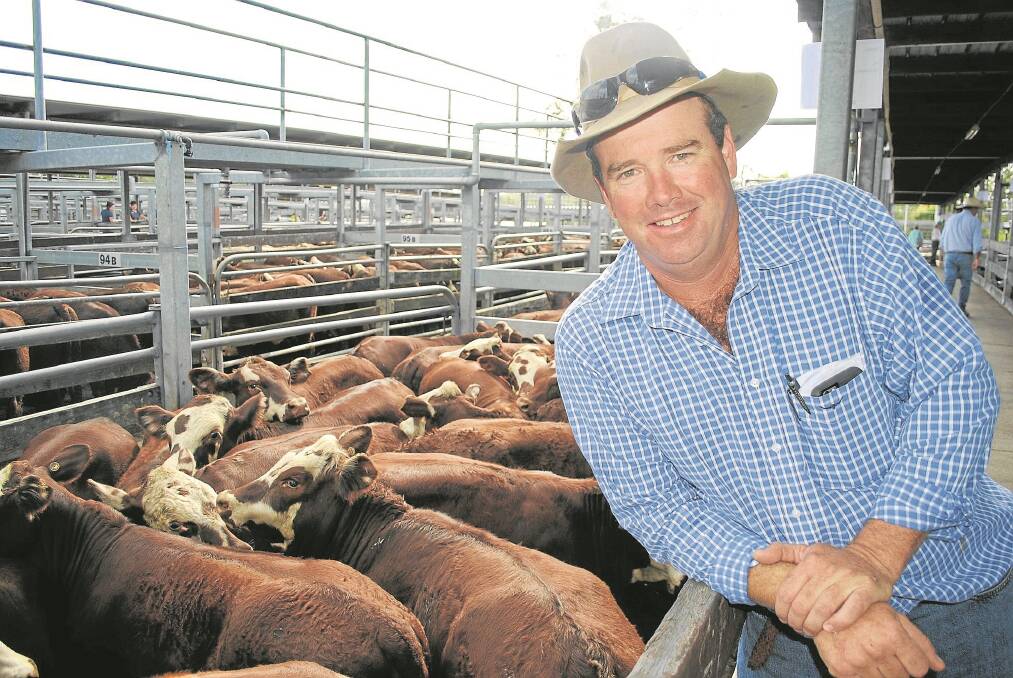 Wandoan cattle producer Brodie Budd at the Casino weaner sale. - <i>Picture: MARK PHELPS.</i>