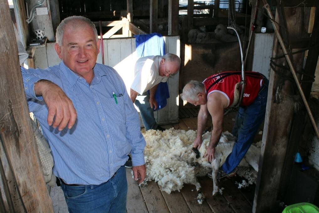 Brothers George, Bob and Ron Sloss have completed the first shearing in two decades at their 139-year-old family property, Allanbank, near Goondiwindi. <i>Picture: ANDREA CROTHERS.</i>