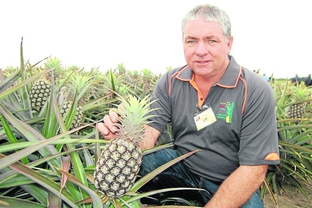 Jeff Atkinson of Wide Bay Pineapples, Maryborough, says his decision to go to stringent controlled traffic at 2m centres has paid dividends in reducing tractor hours and fuel consumption.