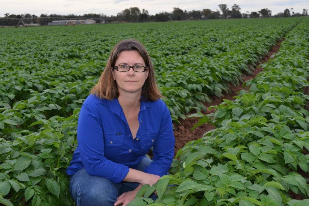 Sarah Ciesiolka is a potato and peanut farmer at Wee Waa.