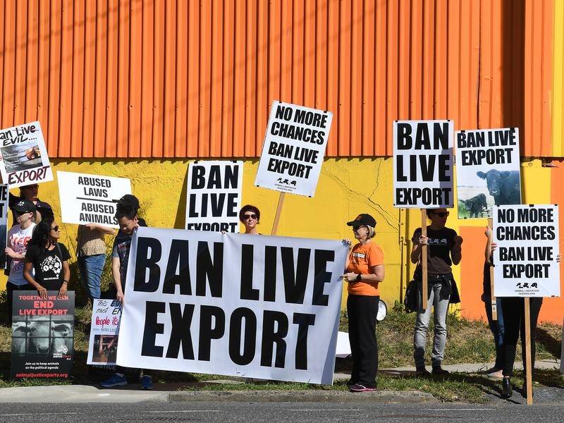 Live sheep exports have been the subject of protests over the last couple of months.