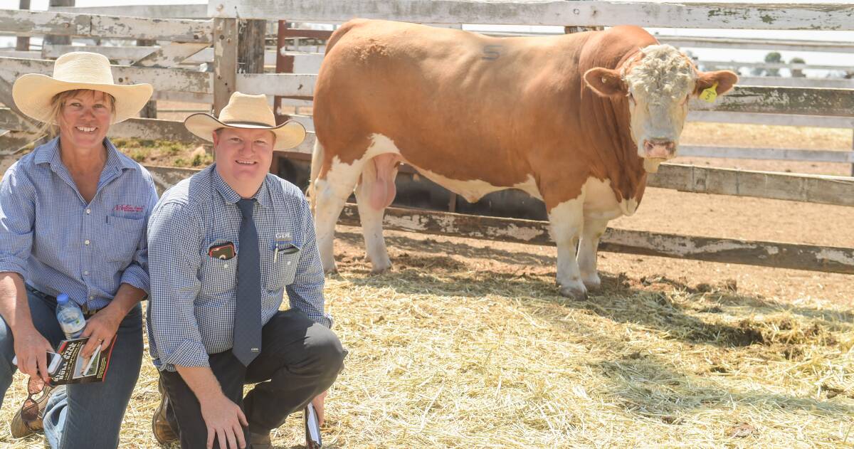 TOP PRICE: Elisabeth Skene, Meldon Park Simmentals, and Mark Duthie, GDL, with top priced bull Meldon Park L66 who sold to Stew Nobbs, Yandaburra, Moura. Photo - Kelly Butterworth. 