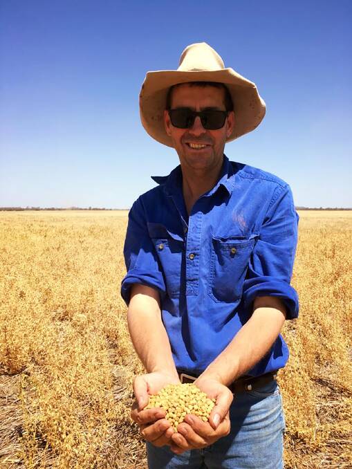Howard Smith, Mt Panorama, Rolleston, with some of this season's chickpea crop. Photos - Gail Godwin-Smith.