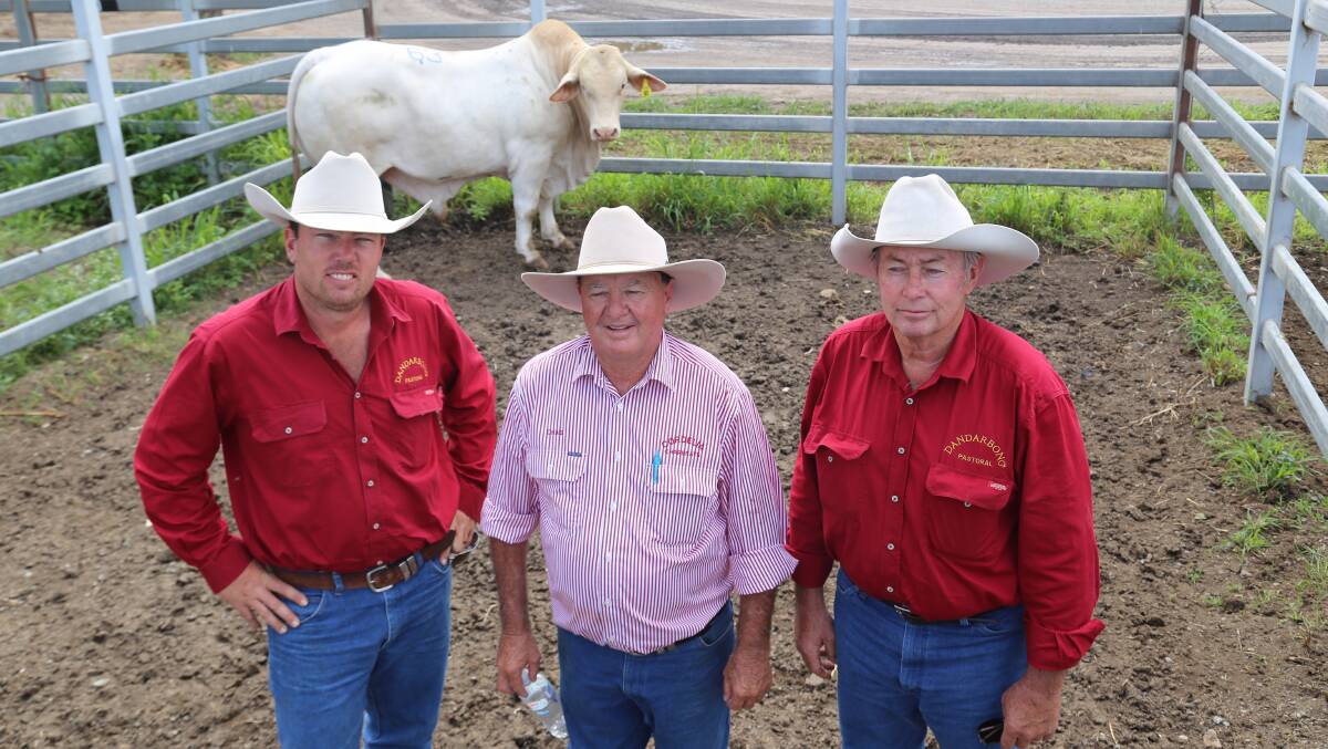 TOP PRICE: Chas and Judy Nobbs' Cordelia Iceman sold for $13,000 to Ron (right), Jenny (not pictured), and Ben (left) Byriel, Dandarbong Pastoral, Bauhinia. 