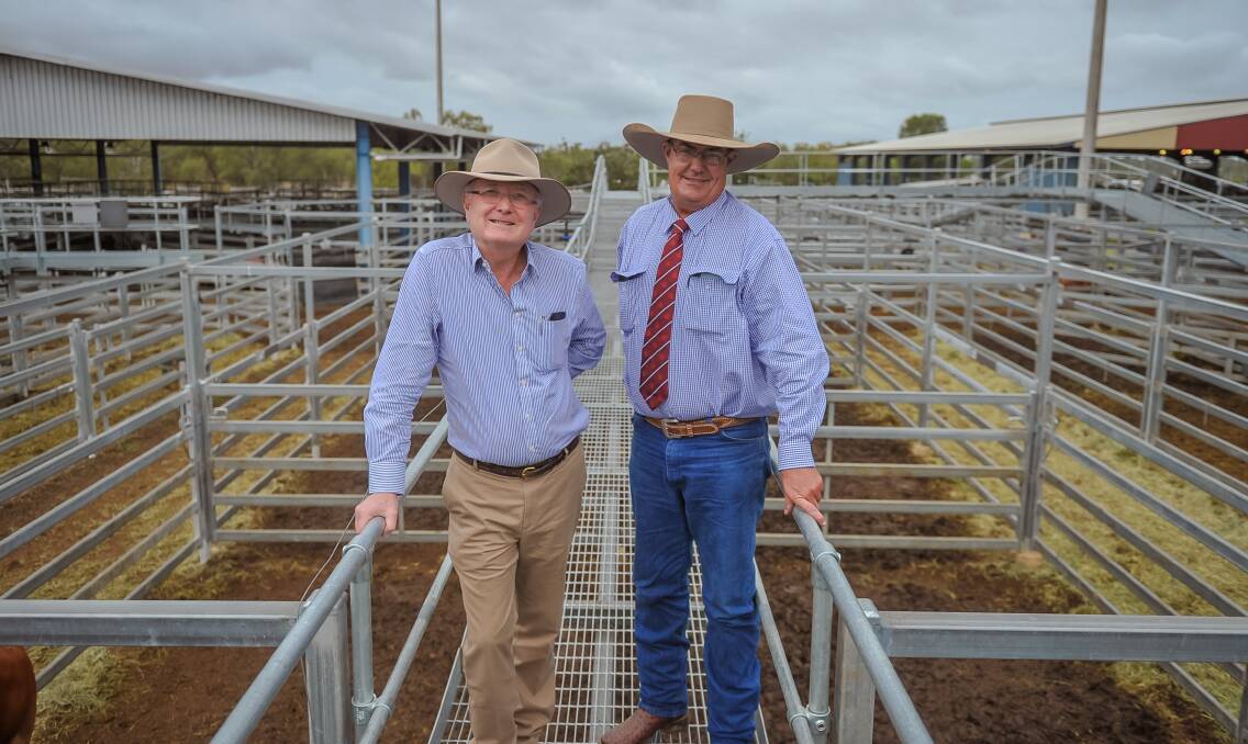 Bid up: Teys Australia executive director Geoff Teys and livestock buyer Matthew Noakes, Marlborough, were strong supporters of today's Beef Week commercial cattle sale.