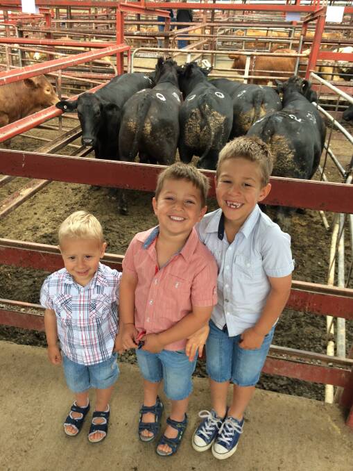 IN THE BLACK: Tommy, William and Harry Grayson, Warwick, with their pen of Simmental/Angus-cross which sold for 345.2c/kg at the GNF bullock and steer show and sale in Warwick. 