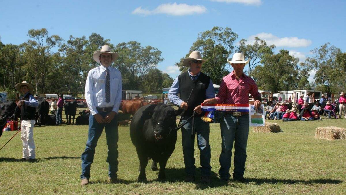 Grand Champion Compact Breed Bull Crimson Park Justajolly is congratulated by Compact Breed judge Charlie Godwin and presented with Rural Supplement trophy by Tod Remfrey.  Justajolly is owned by Sharon Coome.
