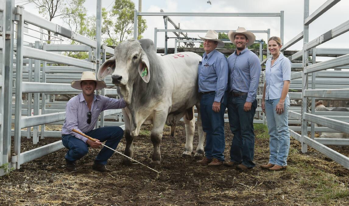 GREAT SCOTT: $115,000 bull Carinya Hazelwood, with vendor Mitch Kirk, Carinya, Gayndah, and purchasers Owen Scott, son Clay Scott, and daughter Emma Sewell, Ruan Grazing, Clermont. Photo - Kelly Butterworth.