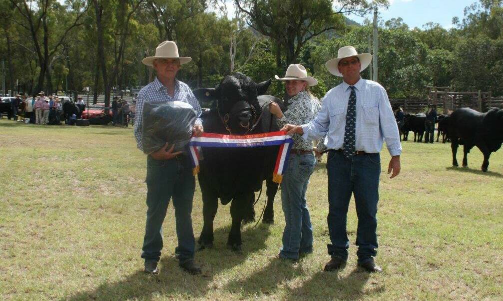 Grand Champion Interbreed Bull at The Caves on Saturday 29th April -  Oaklands Smooth Operator paraded by Dana Walkington is presented with trophy and sash by Cattle stewart Daryl Hermann and Interbreed judge Mark Howard, Ohio, Gogango.
