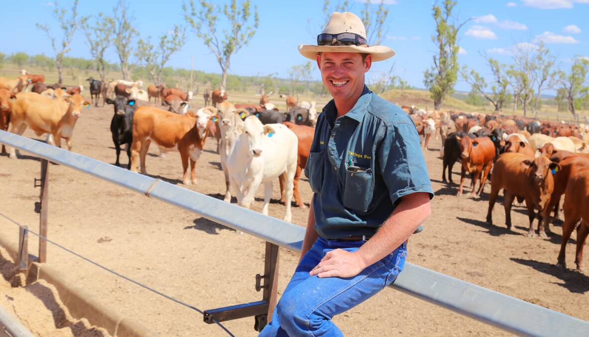 IDEAL FEED: Paringa Feedlot manager Justin Dooley at the Capella feedlot, which is accredited to hold up to 4000 head.