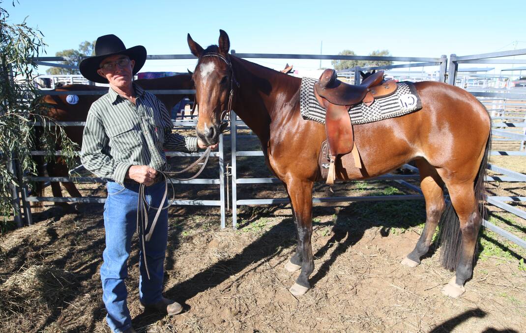 Kerron Gilvear, Monto, sold 10-year-old mare Lenore for a sale topping price of $16,000 at the Ag-Grow horse sale.