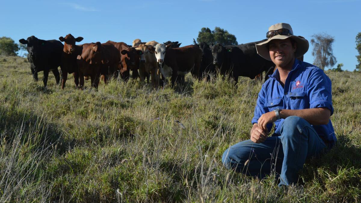 Way forward: Barclay Bassett, Jenavale, Roma, is on board with his family's goals for the future of their beef enterprise and is taking a front seat for the journey forward.