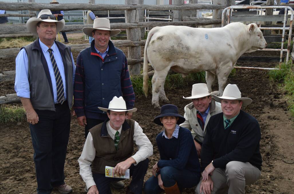 Top sire: Peter Brazier, GDL, Jasen Somerville, G&F Casino, Andrew and Norah Cass, ANC Charolais, David O'Reilly, G&F Casino, and Mark Scholes, Landmark, with top priced bull ANC Kind.